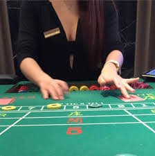 evobet bd